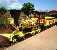 Dole Express